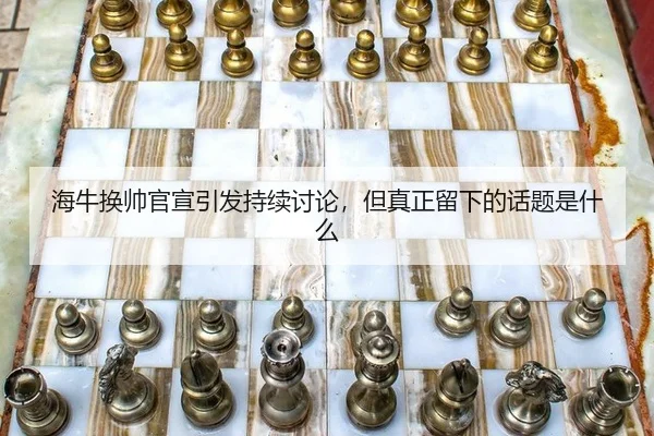 hai-niu-huan-shuai-guan-xuan-yin-fa-chi-xu-tao-lun-dan-zhen-zheng-liu-xia-de-hua-ti-shi-shen-me-2-694.jpg